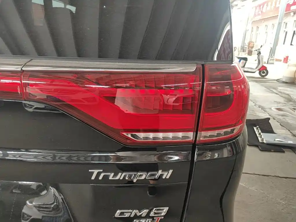 GAC Motor Trumpchi M8 — миниатюра 8