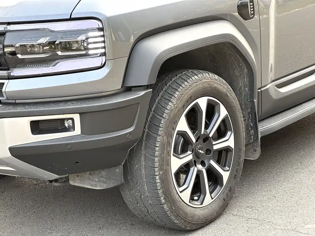 FANG CHENG BAO LEOPARD 5