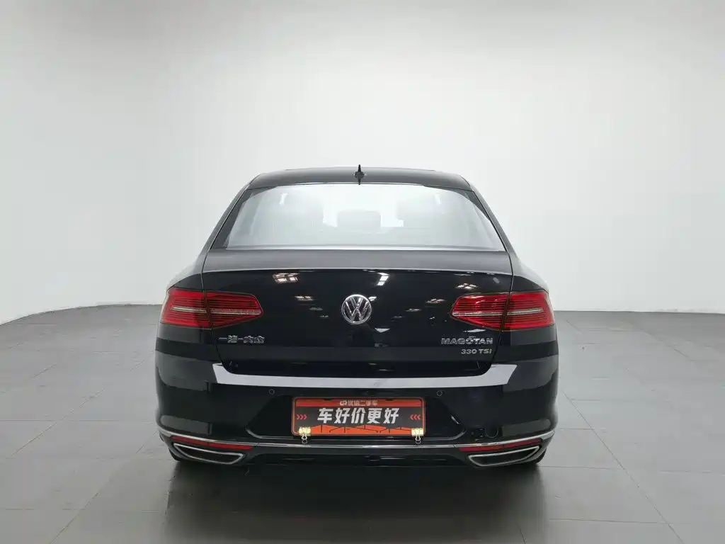 Volkswagen Magotan 2019 330TSI DSG Luxury VI