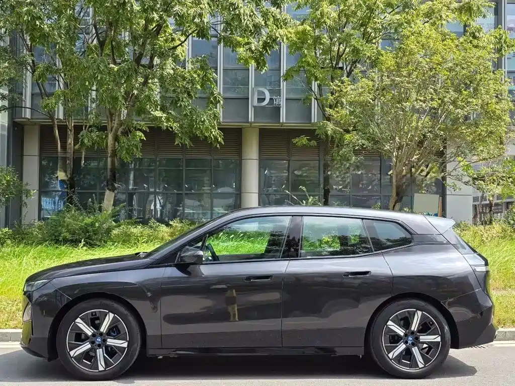BMW iX — миниатюра 2