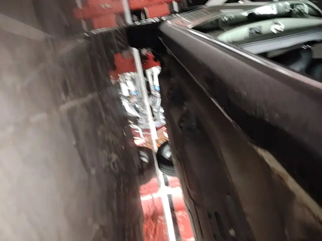 Neta Neta V — миниатюра 21