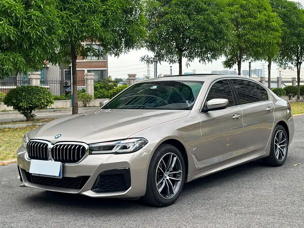Купить BMW 5 Series