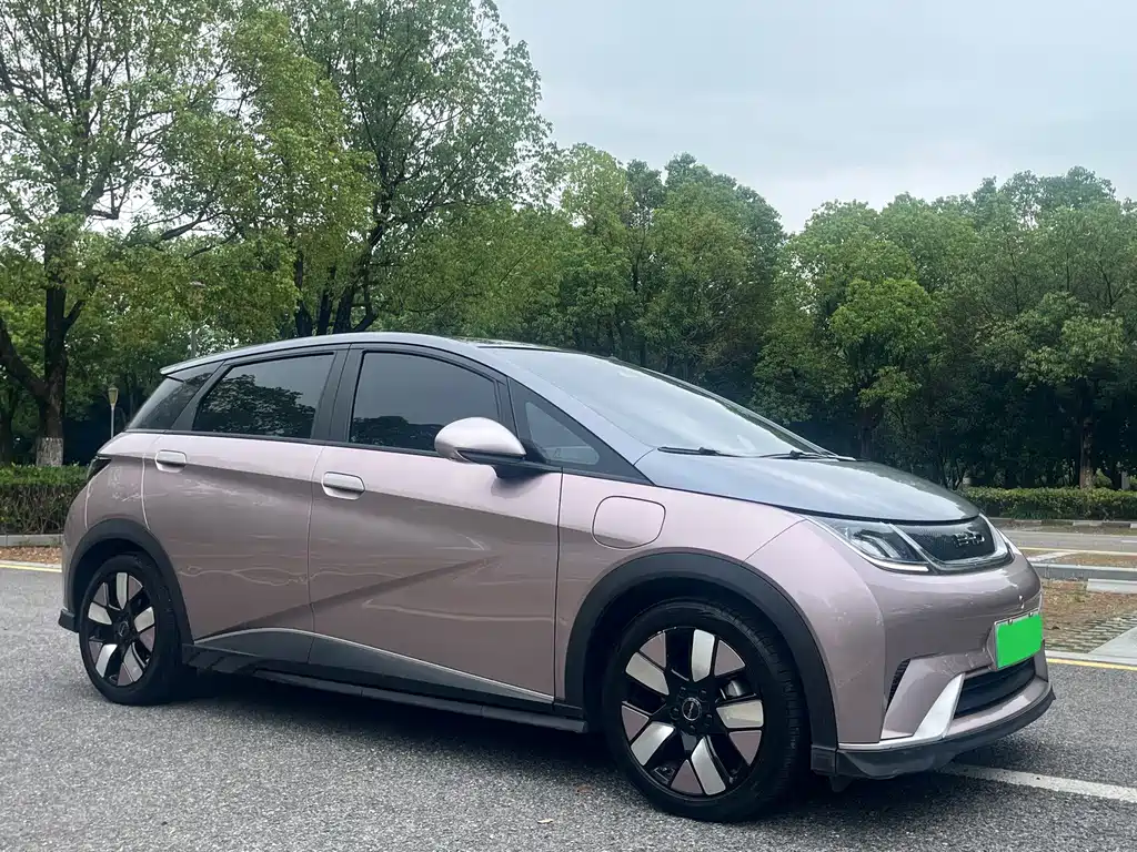 BYD Dolphin — миниатюра 3