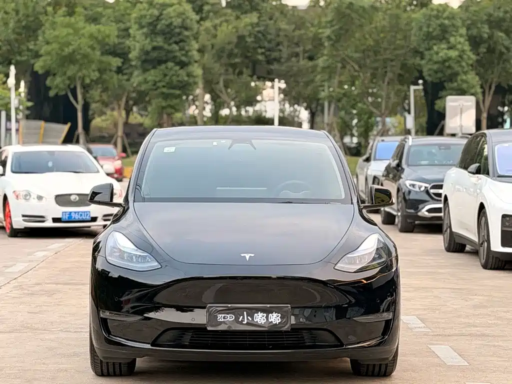 Tesla Model Y — миниатюра 2