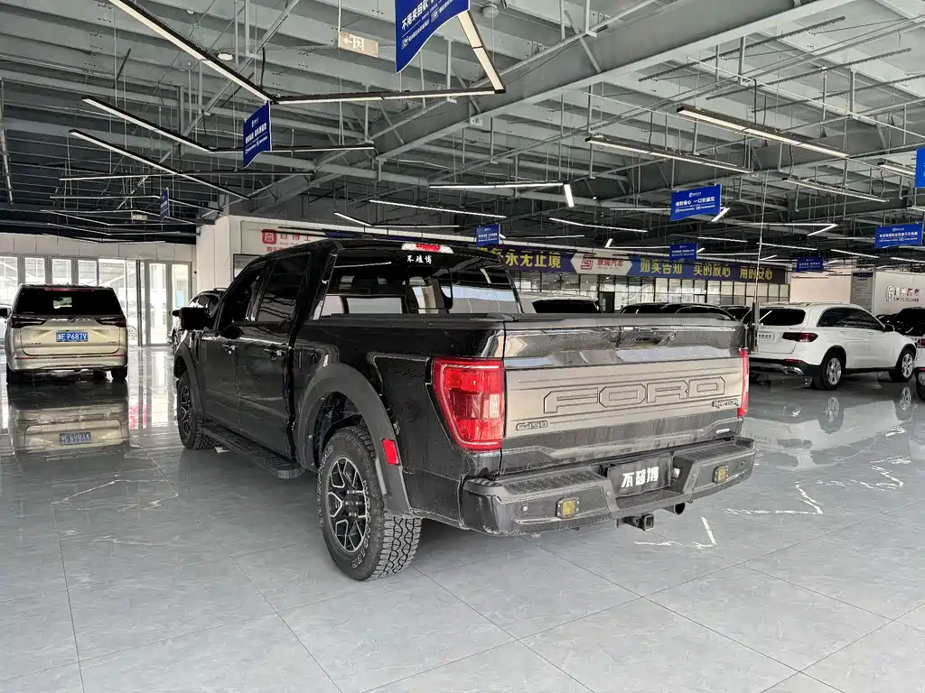 Ford F-150 Raptor — миниатюра 6
