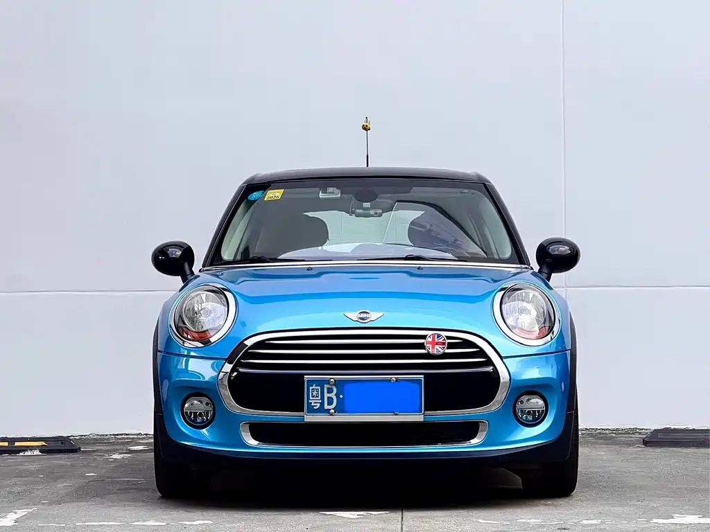 Mini Mini 2015