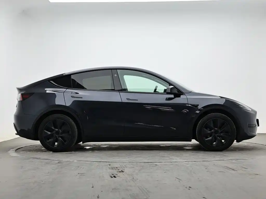 Tesla Model Y — миниатюра 5