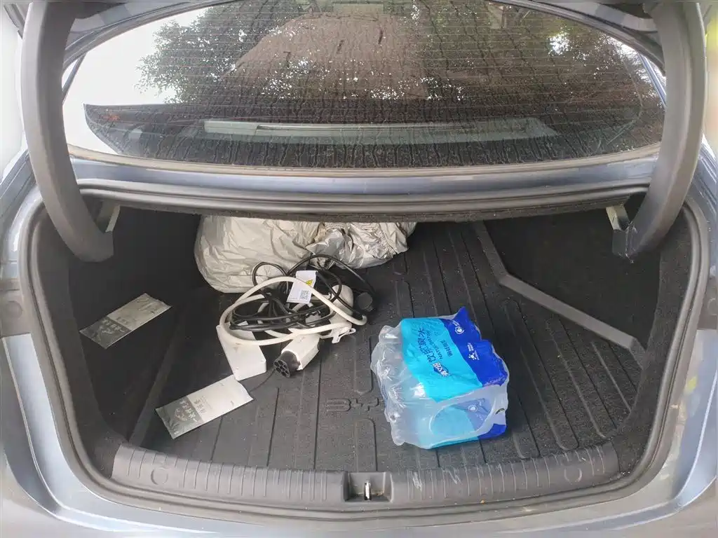 BYD Seal 06 06 2024 DM-i 120KM Premium