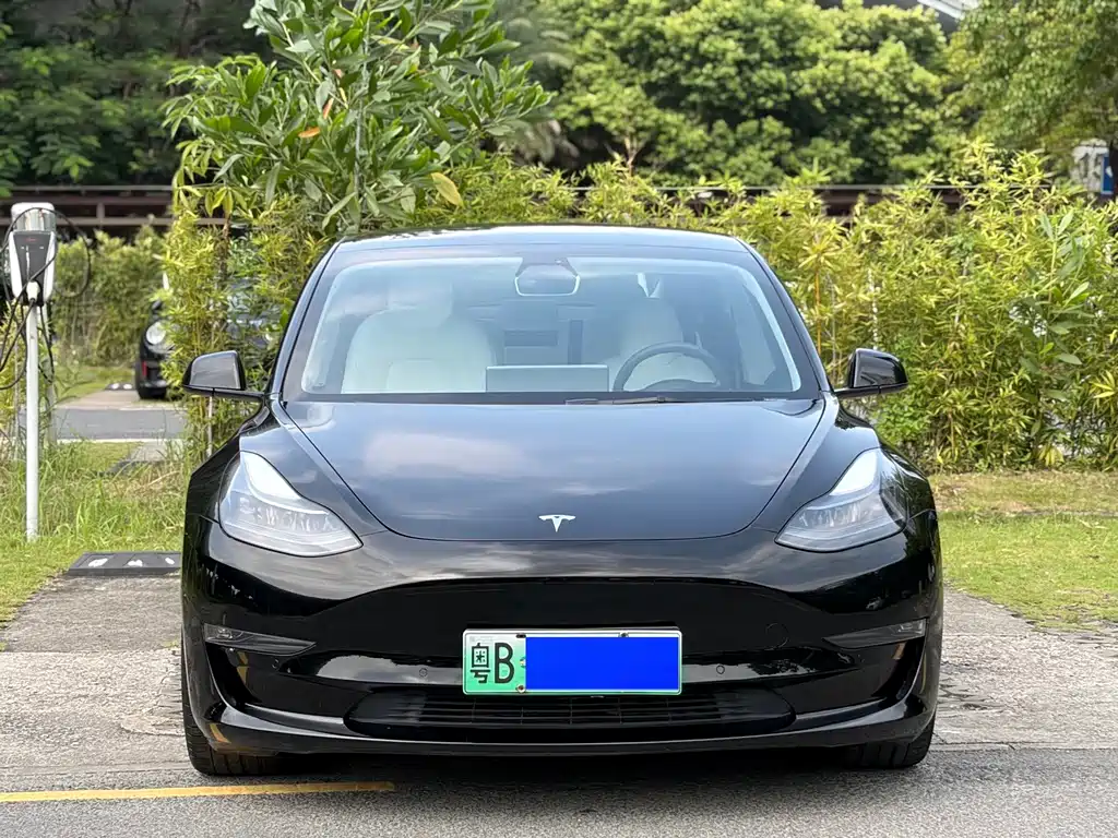 Tesla Model 3 — миниатюра 2