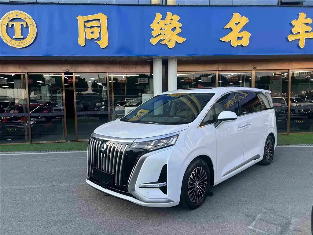 Denza Denza D9