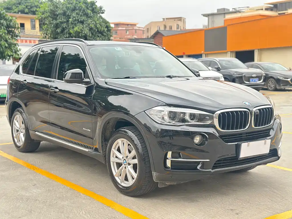 BMW X5 2014 xDrive35i Lead