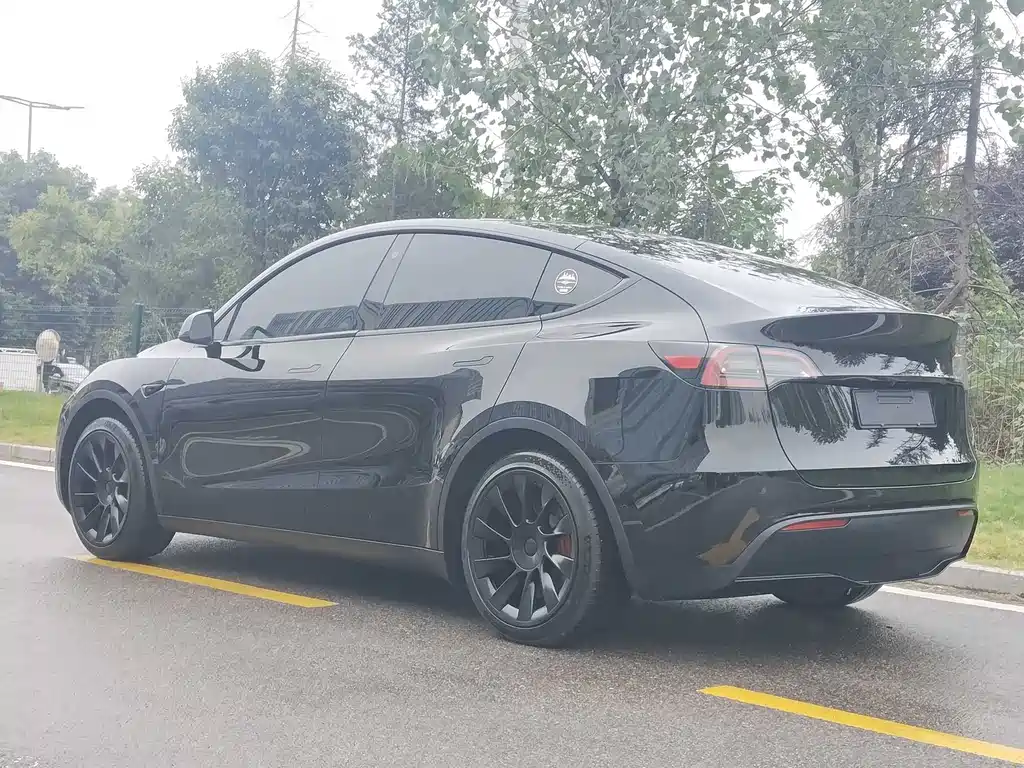 Tesla Model Y — миниатюра 13