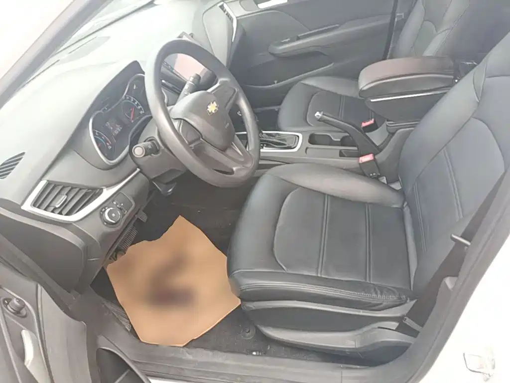 Chevrolet Cavalier — миниатюра 15