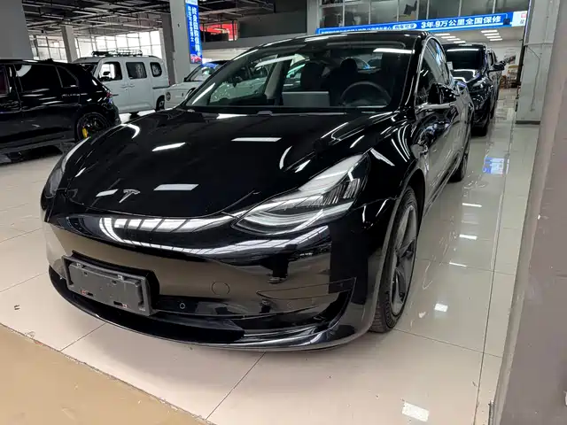 TESLA MODEL 3 2020