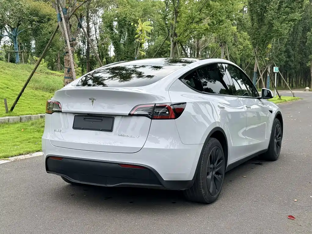 Tesla Model Y — миниатюра 5