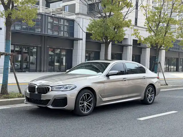BMW 5 SERIES