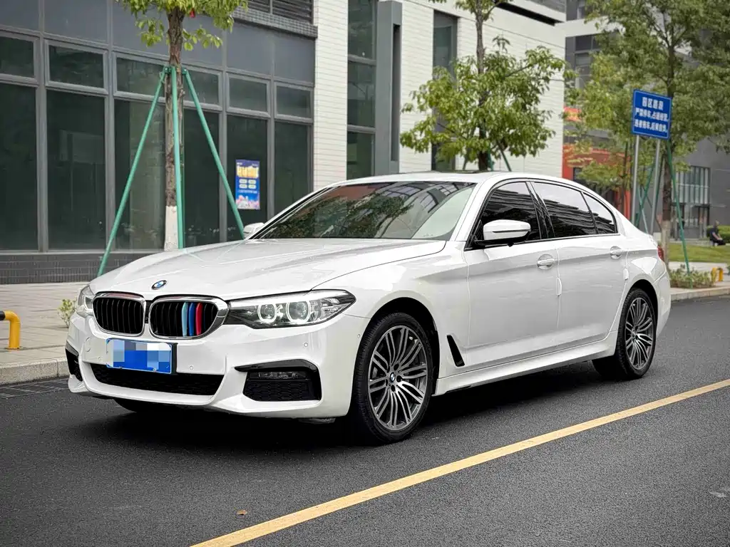 BMW 5 Series 2019