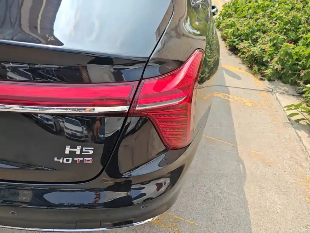 Hongqi Hongqi H5 — миниатюра 8