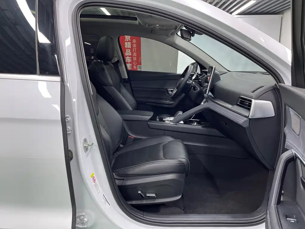 BYD Pro New Energy — миниатюра 22