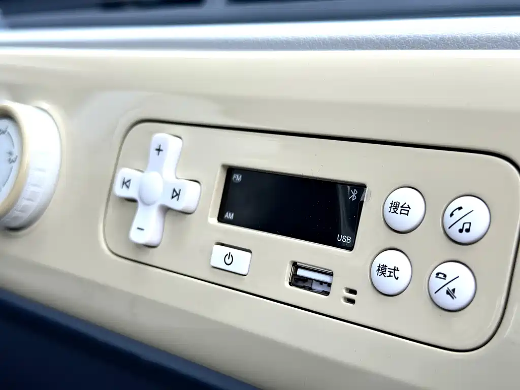 BESTUNE PENTIUM PONY