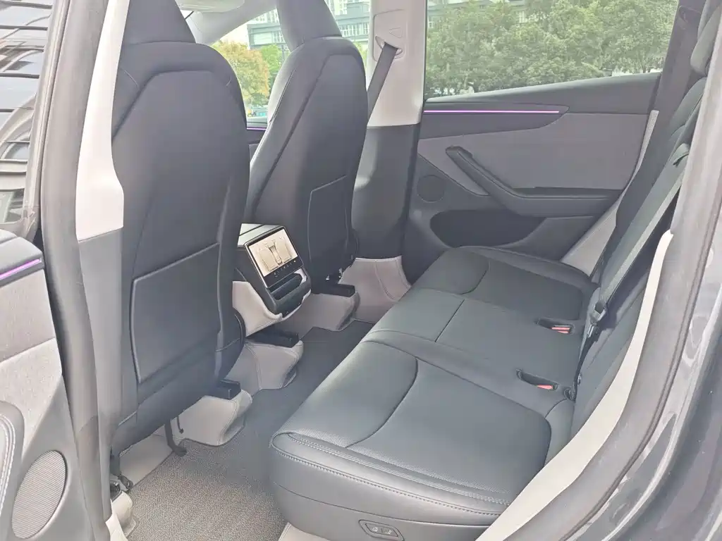 Tesla Model Y — миниатюра 11