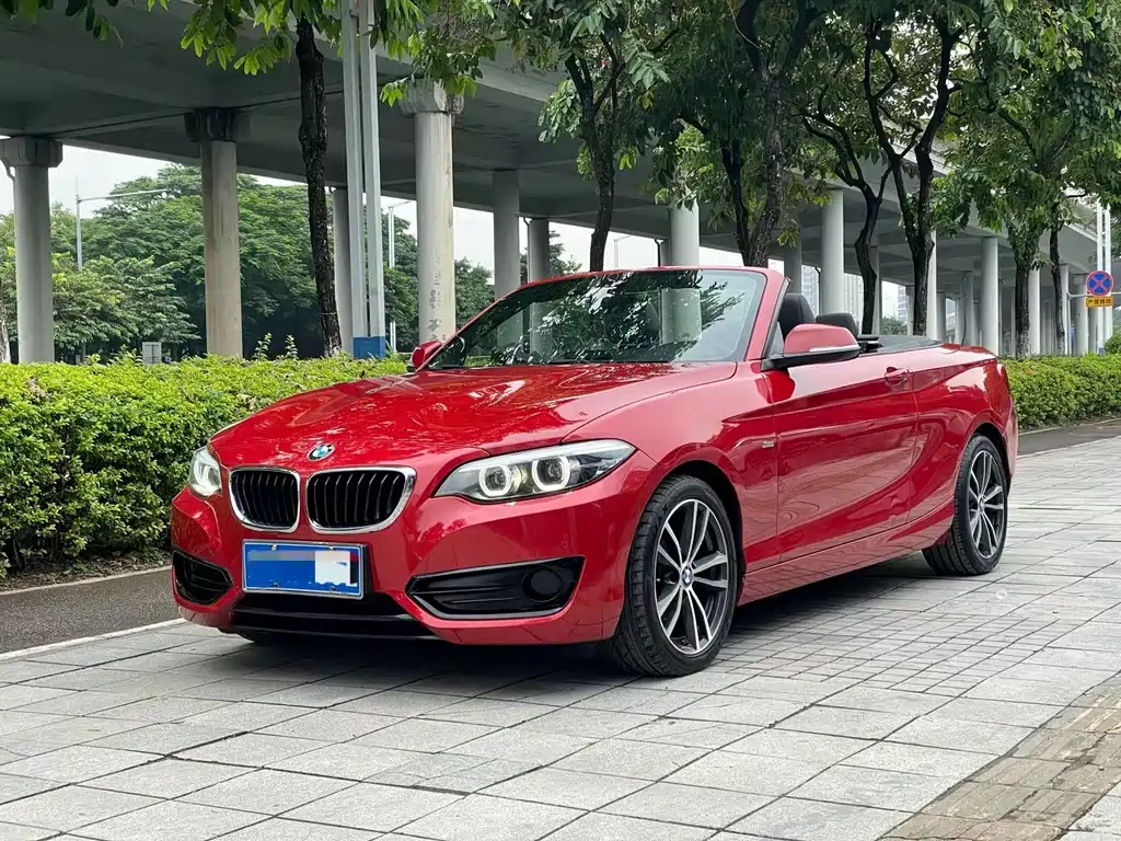 BMW 2 Series (Import)