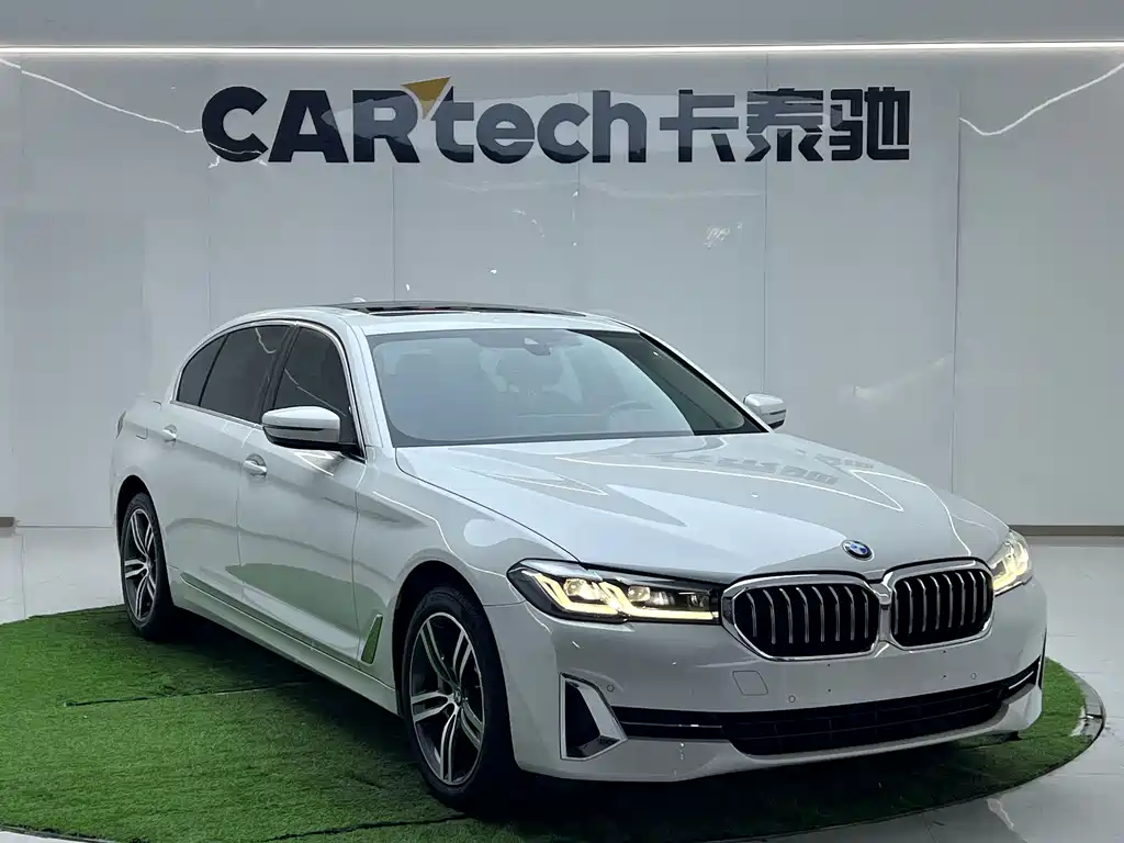BMW 5 Series Facelift 530Li xDrive Luxury Package, фото 2