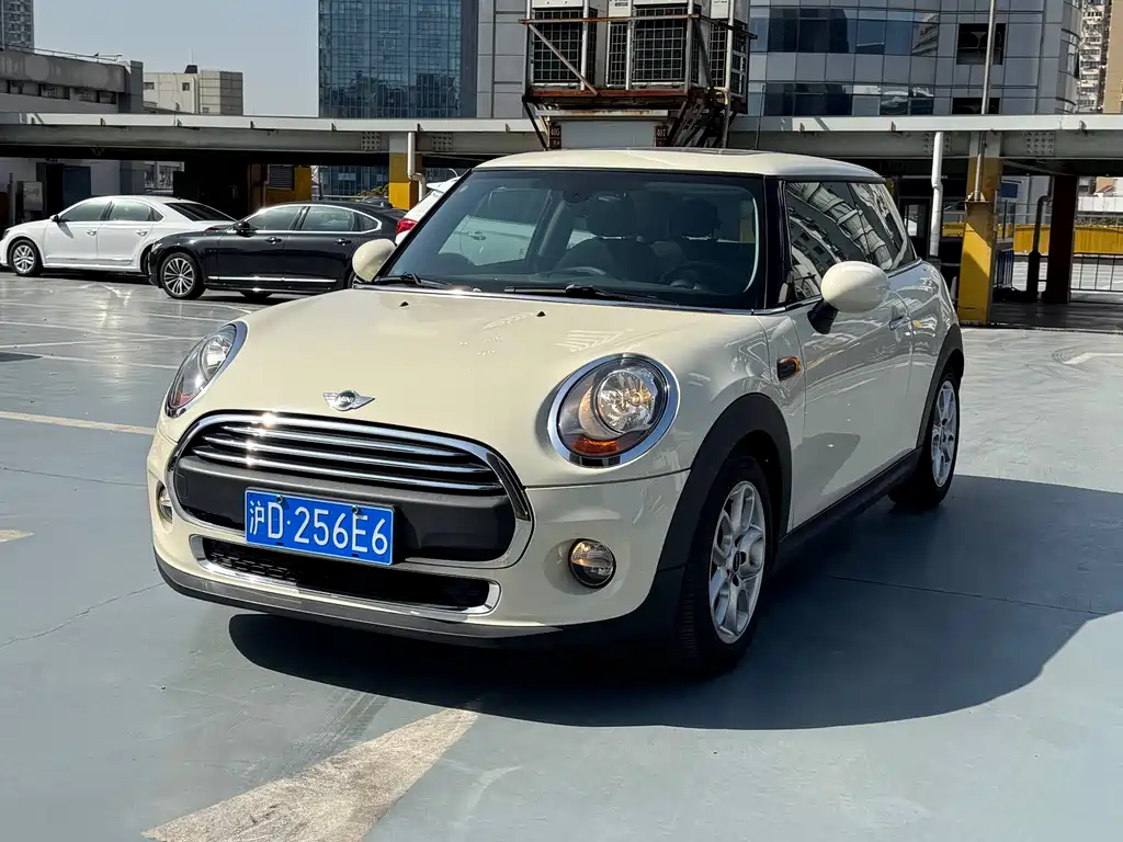 Mini Mini 2015