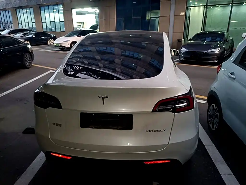 Tesla Model Y — миниатюра 6