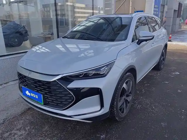 BYD TANGXIN ENERGY 2024