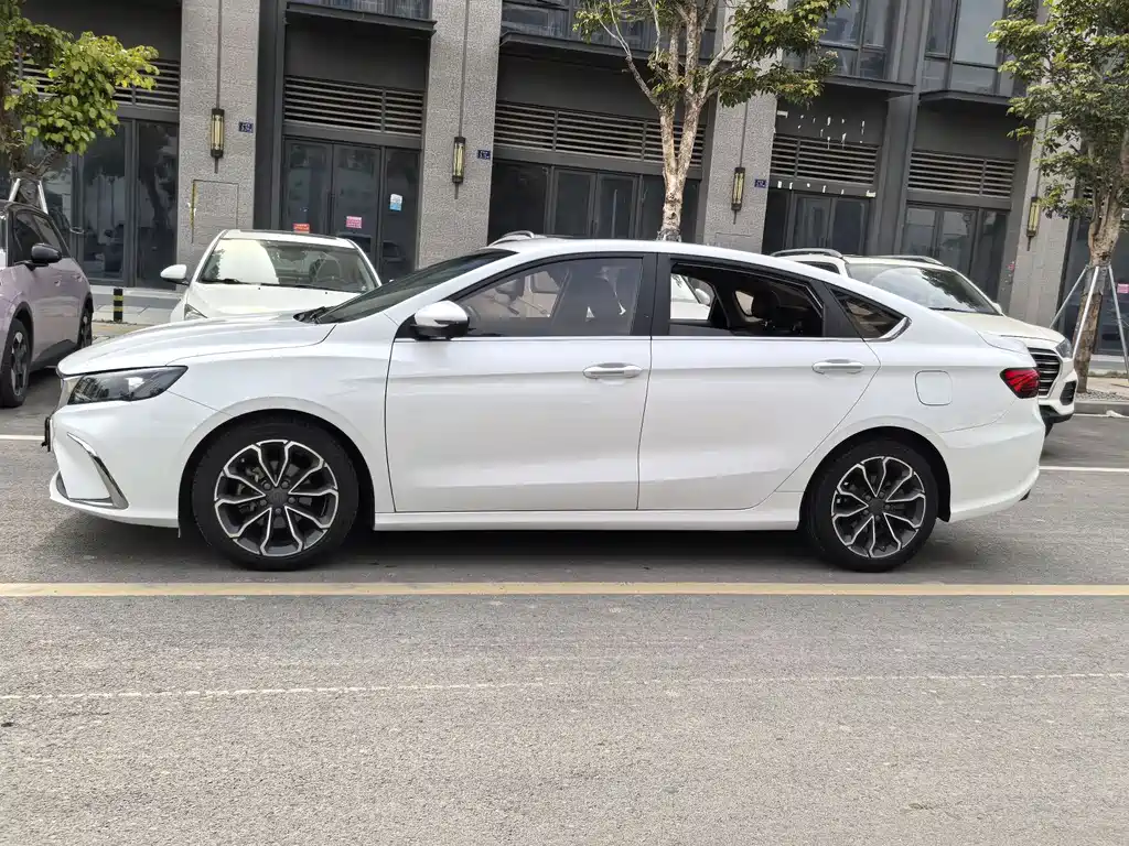 GEELY AUTOMOBILE BINRUI