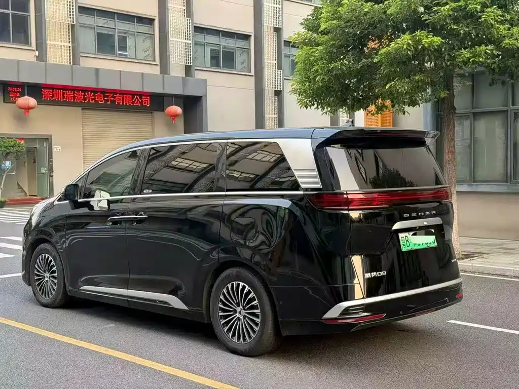 Denza Denza D9 — миниатюра 8