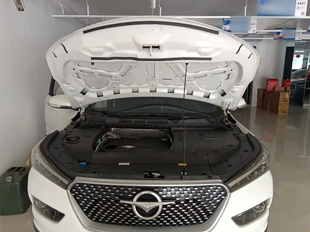 Haima Haima S5 — миниатюра 20