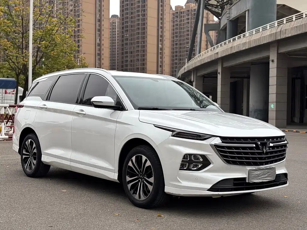WULING WULING CAPGEMINI