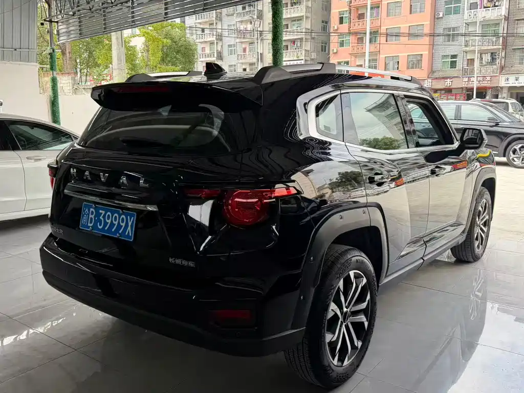 Haval Big Dog PLUS — миниатюра 11