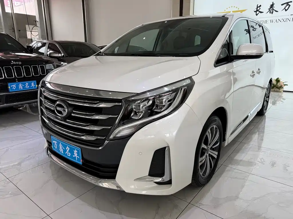 2020 GAC GN8 - zdjęcie 1 z 19