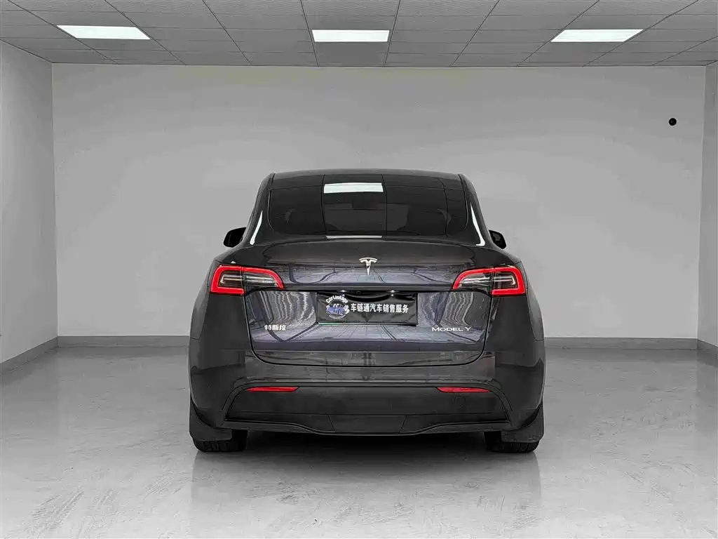 Tesla Model Y — миниатюра 17