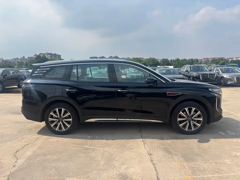 Hongqi Hongqi HS7 PHEV — миниатюра 4