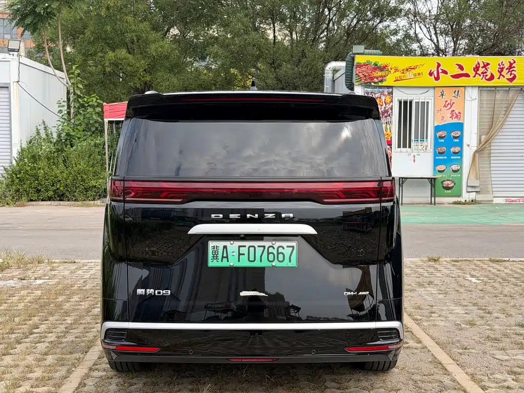 Denza Denza D9 — миниатюра 5