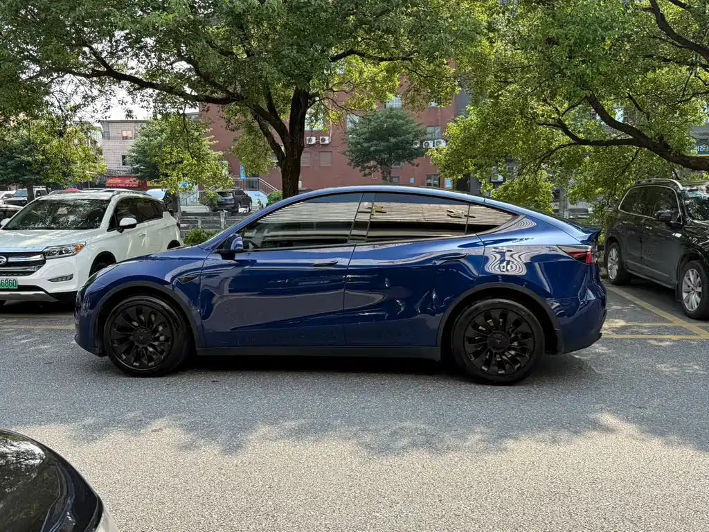 Tesla Model Y — миниатюра 6