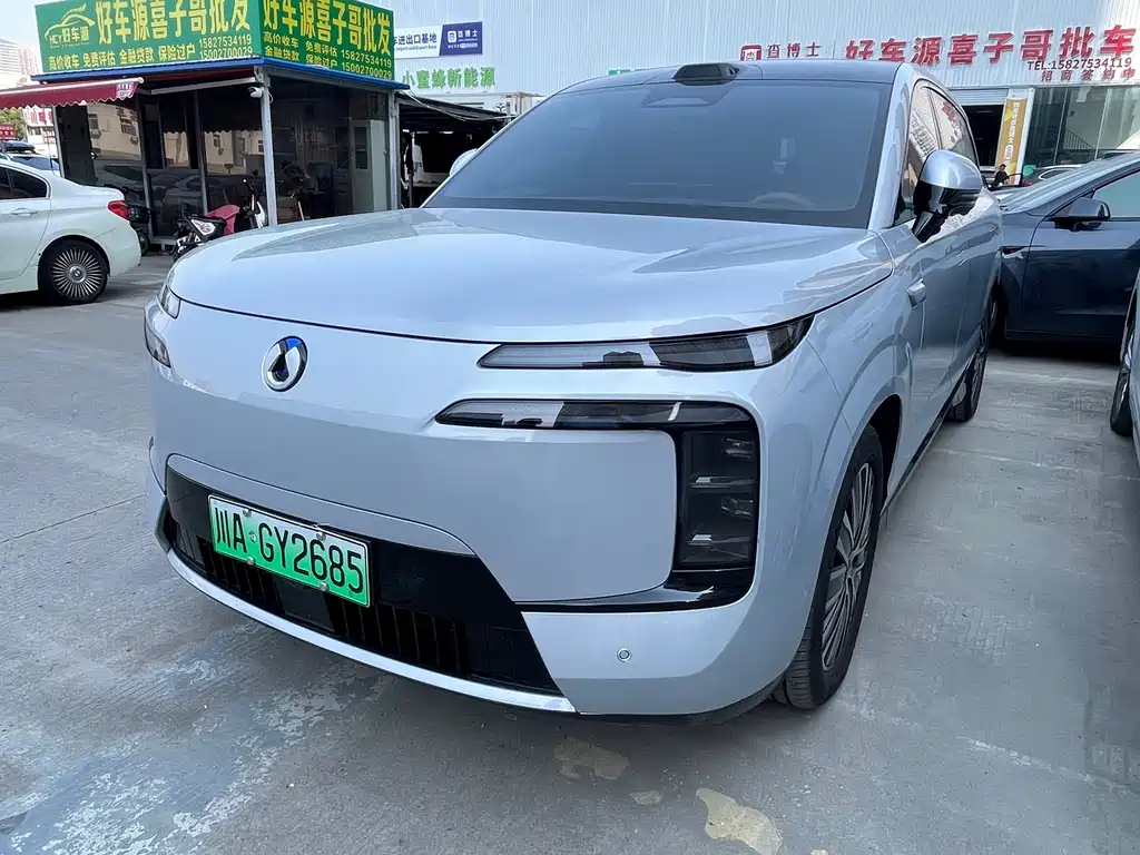 Denza Denza N8L — миниатюра 3