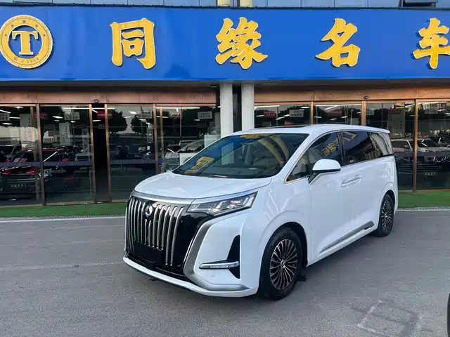Denza D9