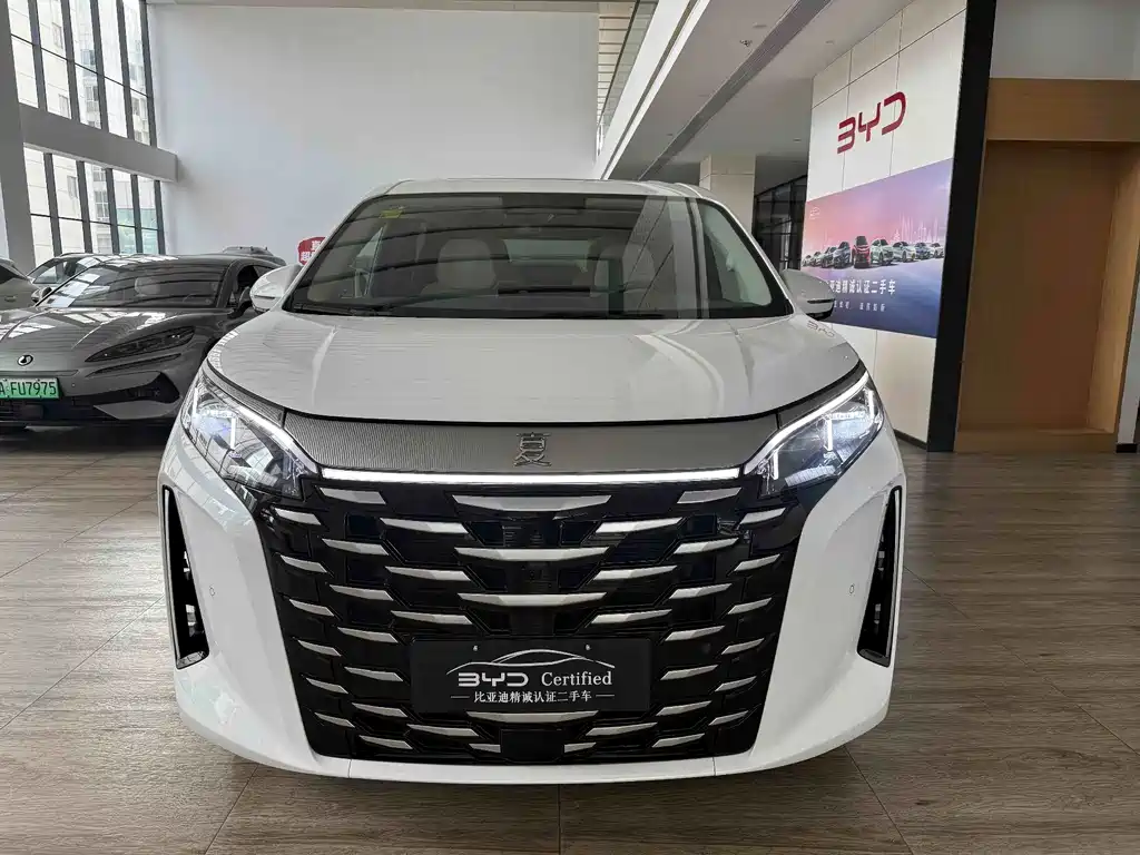 BYD Xia - фото 2