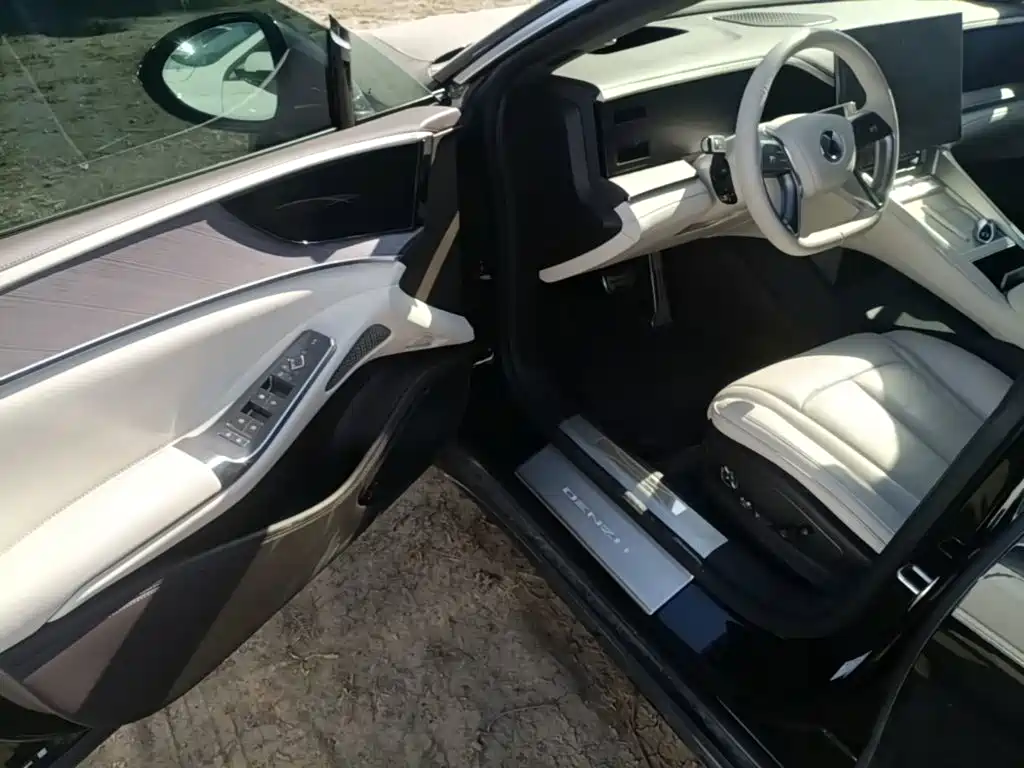 Denza Denza Z9 — миниатюра 16
