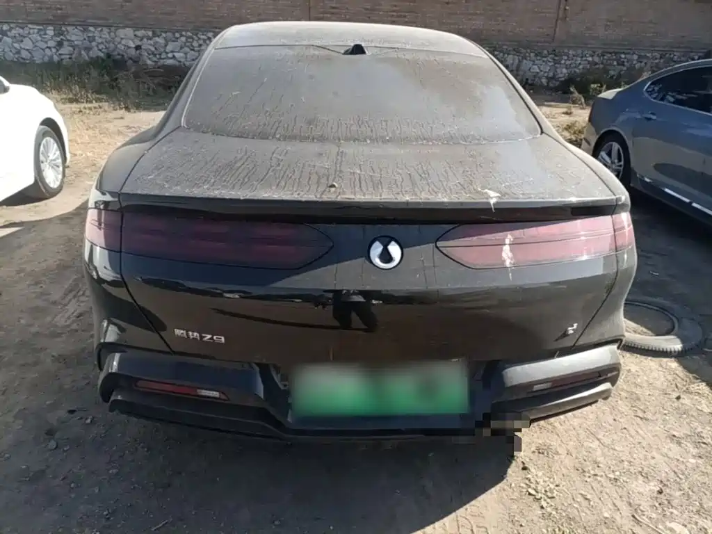 Denza Denza Z9 — миниатюра 6