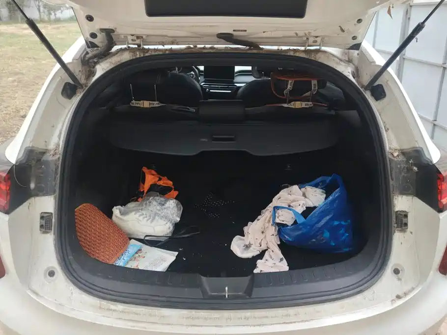 Haval Chitu — миниатюра 4