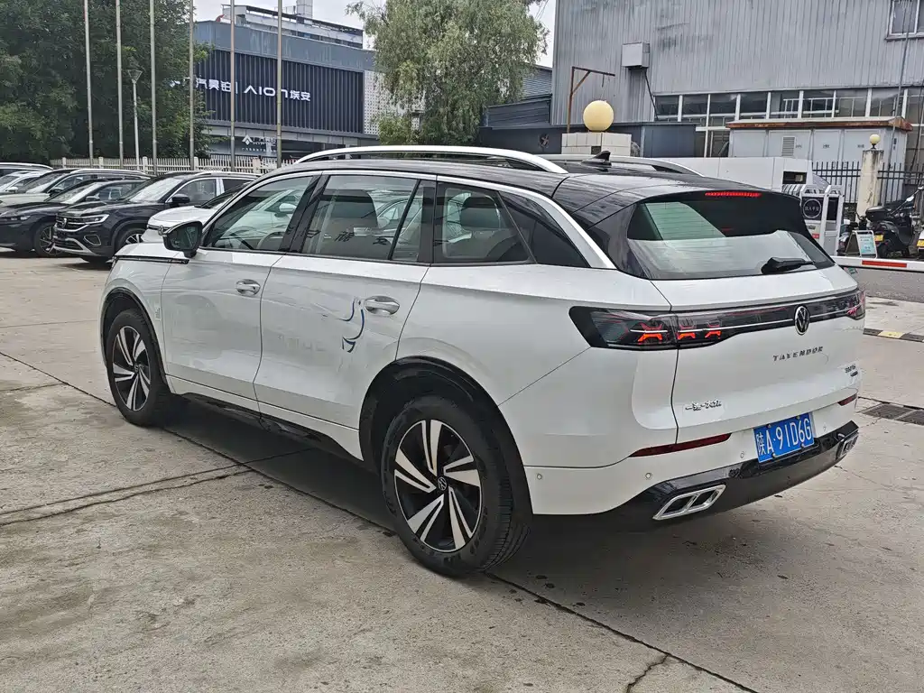 Volkswagen Tavendor 380TSI 4WD R-Line Patrol Ceremony Edition, фото 3