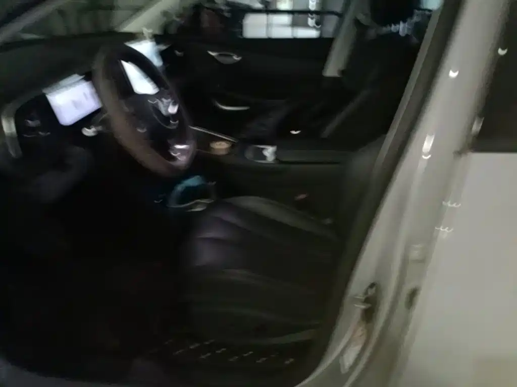 BYD Sealion 05 EV — миниатюра 15