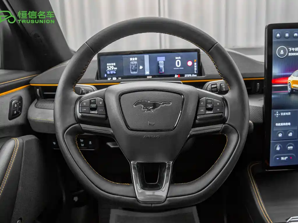 Ford Mustang Mach-E — миниатюра 17