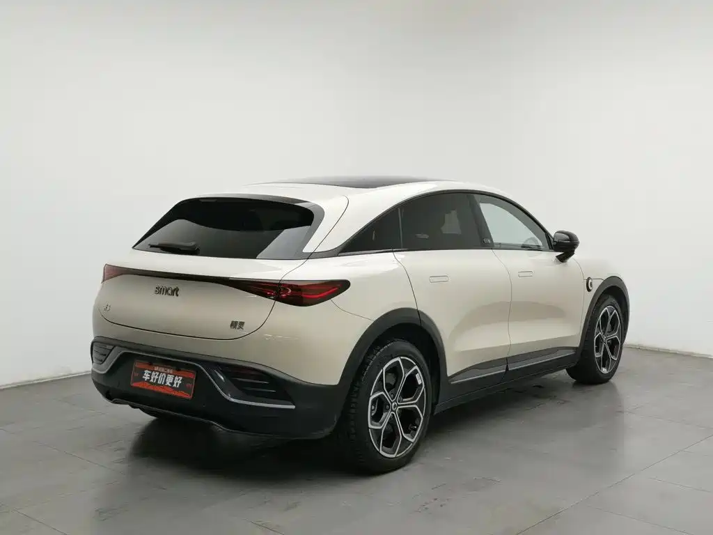 smart Smart #3 — миниатюра 2